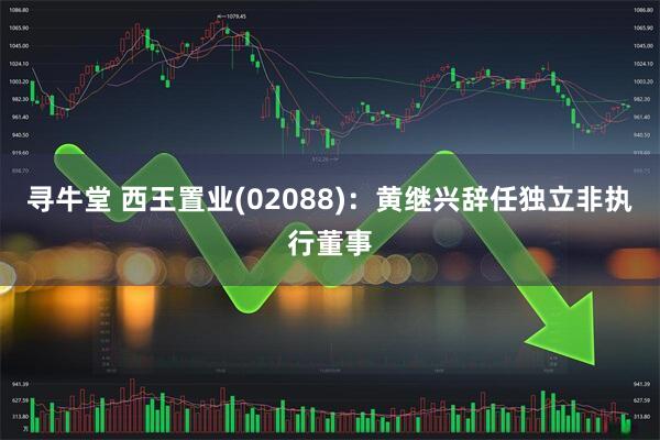 寻牛堂 西王置业(02088)：黄继兴辞任独立非执行董事