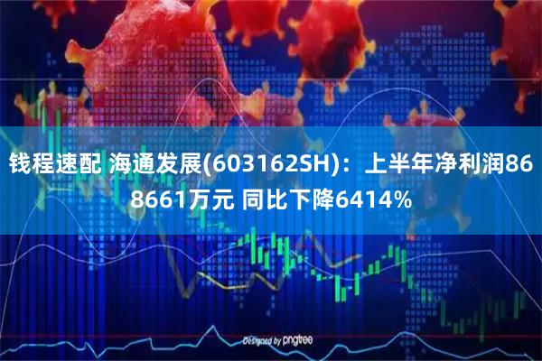钱程速配 海通发展(603162SH)：上半年净利润868661万元 同比下降6414%
