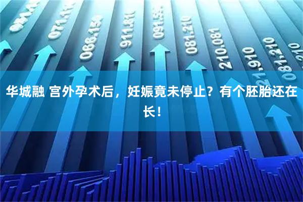 华城融 宫外孕术后，妊娠竟未停止？有个胚胎还在长！